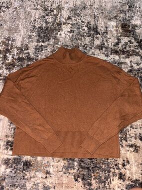 Everlane Women’s Turtleneck Sweater
